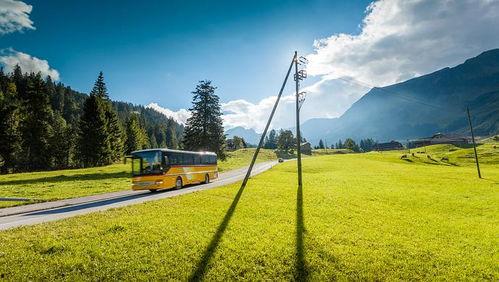 青青草国产线观,青青草的青春旋律与时代印记